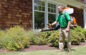 Mosquito Joe of Southerneastern NC technician spraying bushes out of a home.